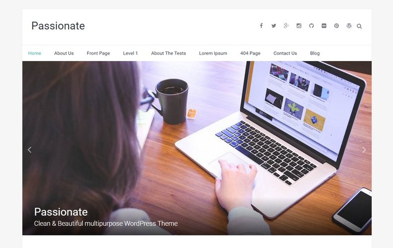 WordPress 免费多用途企业主题 Passionate
