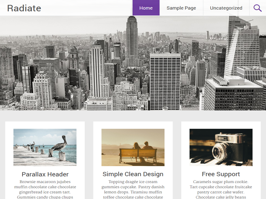 WordPress 博客主题 Radiate(已汉化)