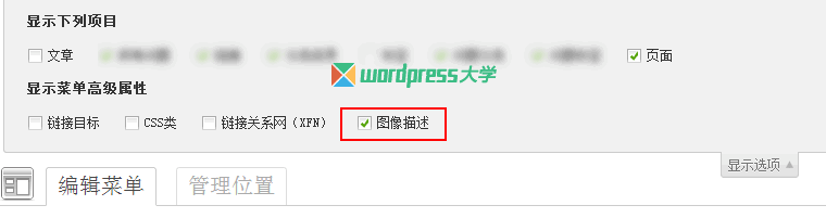 WordPress wp_nav_menu()菜单输出菜单描述