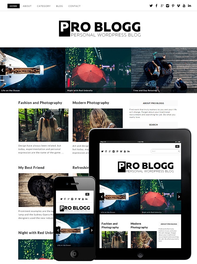 pro-blogg-theme