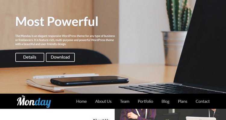 WordPress 免费单页视差企业主题 The Monday