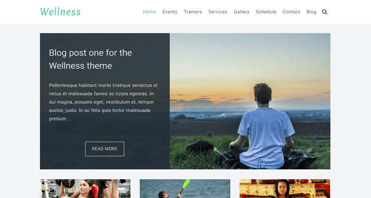 WordPress 免费多用途企业主题 Wellness