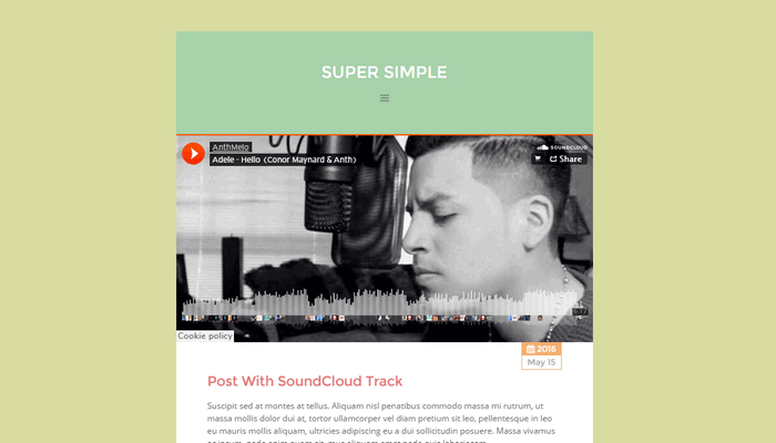 WordPress 单栏博客主题 Super Simple