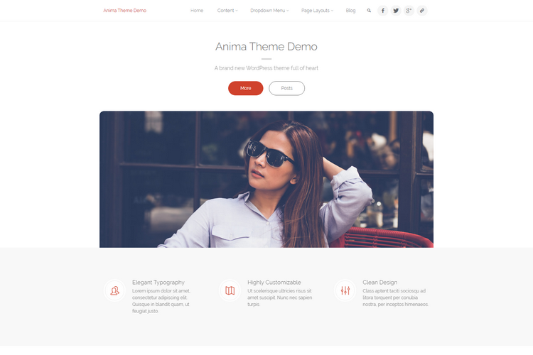 WordPress 多用途免费主题 Anima