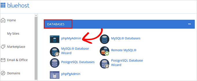 单击-phpmyadmin-选项 单击 cPanel 中的 phpMyAdmin 选项