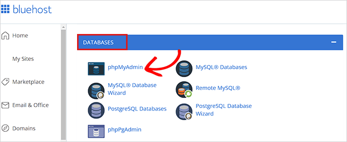 单击 cPanel 中的 phpMyAdmin 选项