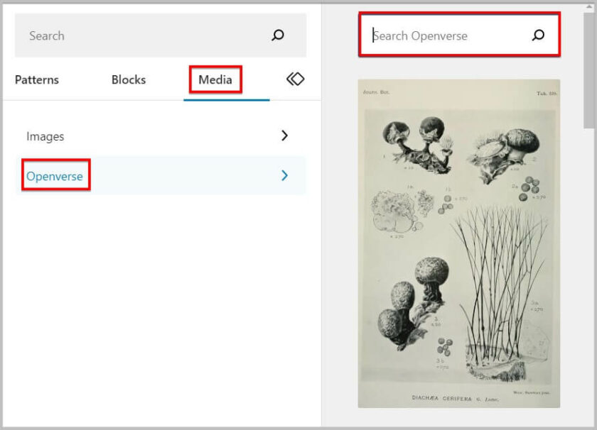 在 WordPress 6.2 BETA 的 Block Inserter 中搜索 Openverse
