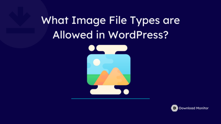 WordPress 允许哪些图像文件类型？- WordPress 允许的文件类型