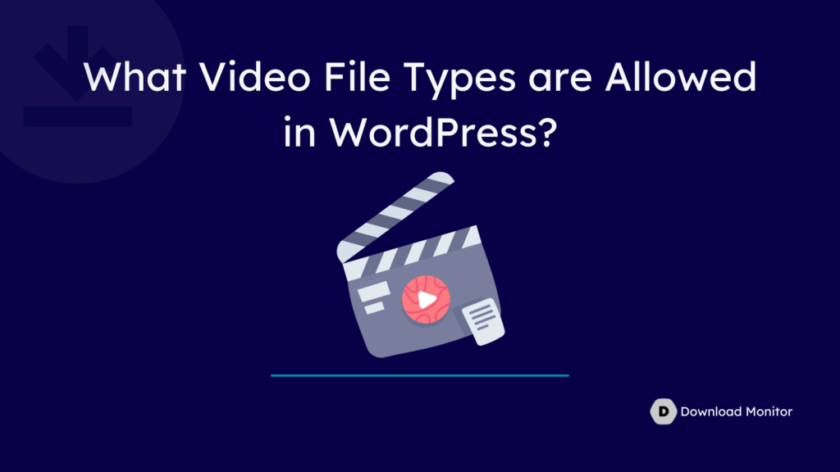 WordPress 允许哪些视频文件类型？
