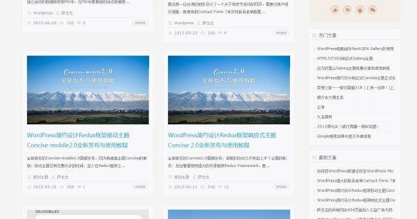 WordPress 免费主题 Salong （来自远方的雪山）