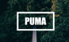 WordPress 单栏个人博客主题 Puma