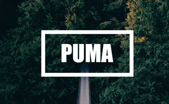 WordPress 单栏个人博客主题 Puma