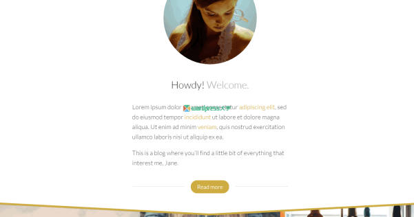 WordPress 免费个人博客主题  Blogrow