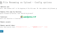 WordPress文件上传时自动重命名插件：File Renaming on upload