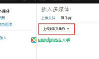 WordPress “添加媒体”只显示上传到本文章/页面的文件