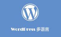 获取多站/多语种 ( 基于 WPML ) WordPress 网站当前的语种
