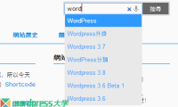 WordPress搜索框关键词提示插件 WP Search Auto Match