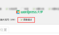 WordPress wp_nav_menu()菜单输出菜单描述