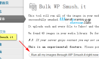 WordPress插件：WP Smush.it 无损压缩网站图片