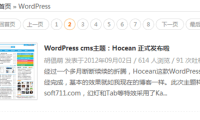 WordPress代码：添加分页导航菜单