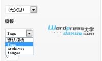 WordPress添加彩色标签云
