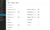 WordPress网站优化插件youpzt-optimizer，给网站提速70%