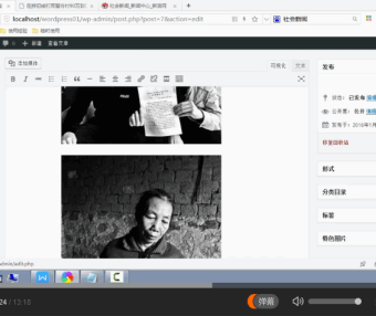 WordPress 快速入门视频教程23：自定义栏目的作用以及是否允许评论