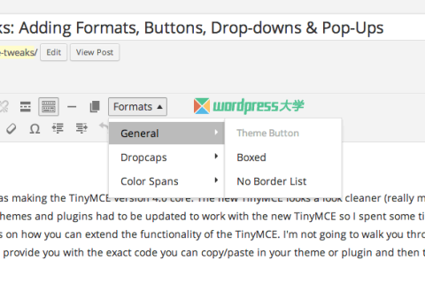 WordPress 3.9+ TinyMCE 4 增强：添加样式、按钮、字体、下拉菜单和弹出式窗口