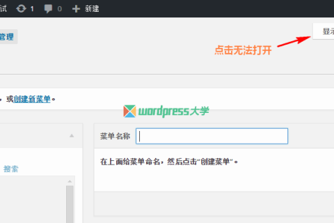修复 WordPress 简体中文版的菜单“显示选项”无法点击