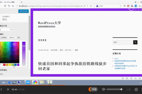 WordPress 快速入门视频教程37：自定义和编辑主题