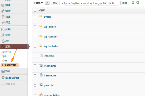 WordPress 在线文件管理插件：FileBrowser