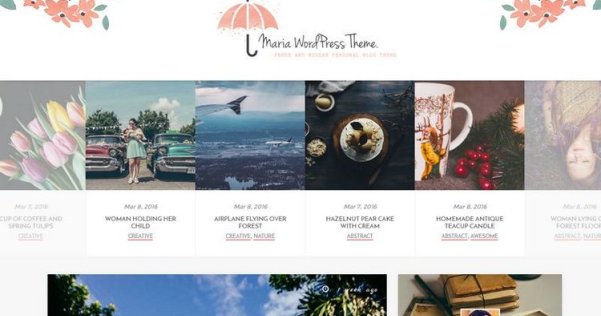 WordPress 免费个人博客主题 Maria