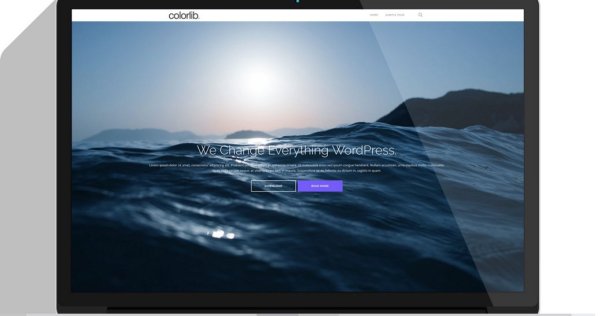 WordPress 单页视差企业主题 Shapely