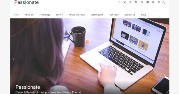 WordPress 免费多用途企业主题 Passionate