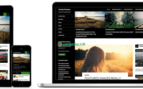WordPress 3.8 正式版发布，命名为 Parker