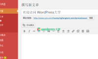 WordPress 自动转换中文链接为拼音 SO Pinyin Slugs