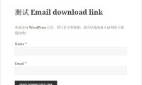 WordPress 填写表单后邮件发送下载链接 Email download link