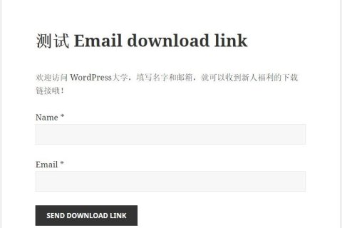 WordPress 填写表单后邮件发送下载链接 Email download link