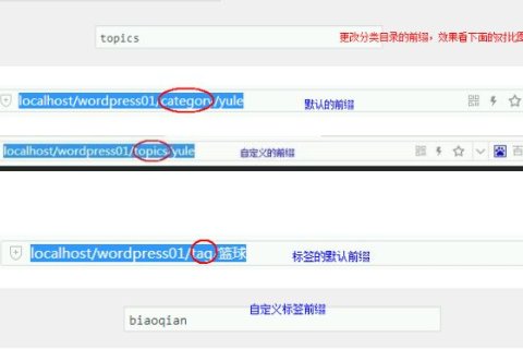 WordPress 快速入门视频教程49：分类目录和标签前缀