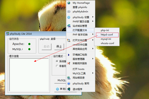 WordPress 快速入门视频教程47：如何开启mod_rewrite功能