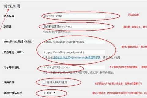 WordPress 快速入门视频教程41：常规设置