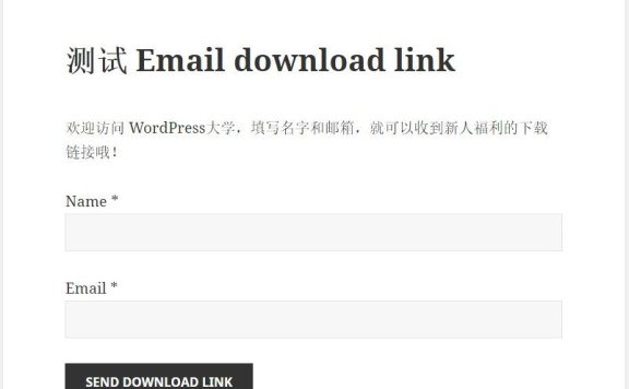 WordPress 填写表单后邮件发送下载链接 Email download link