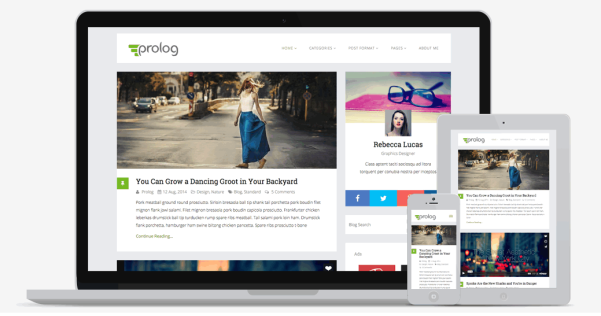 WordPress 免费多色版博客主题 Prolog
