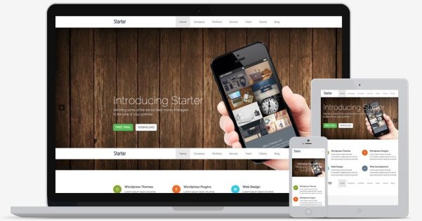 WordPress 免费单页面主题 Starter