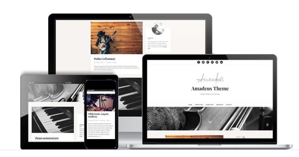 WordPress 免费博客主题 Amadeus