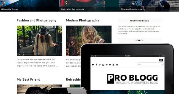 WordPress 免费博客主题 Pro Blogg
