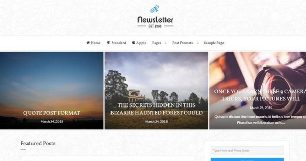 WordPress 免费博客主题 Newsletter