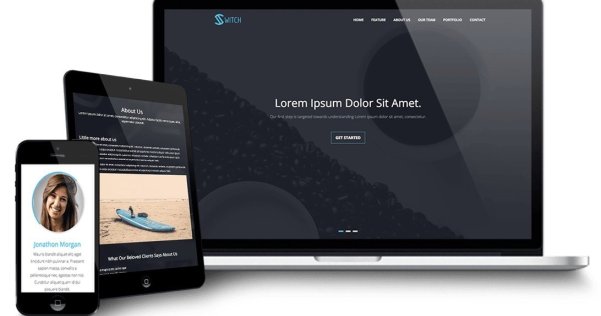 WordPress 免费单页视差企业主题 Switch