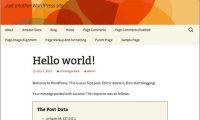 WordPress HTTP API 指南：从 wp_remote_post 保存数据