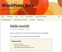 WordPress HTTP API 指南：从 wp_remote_post 保存数据